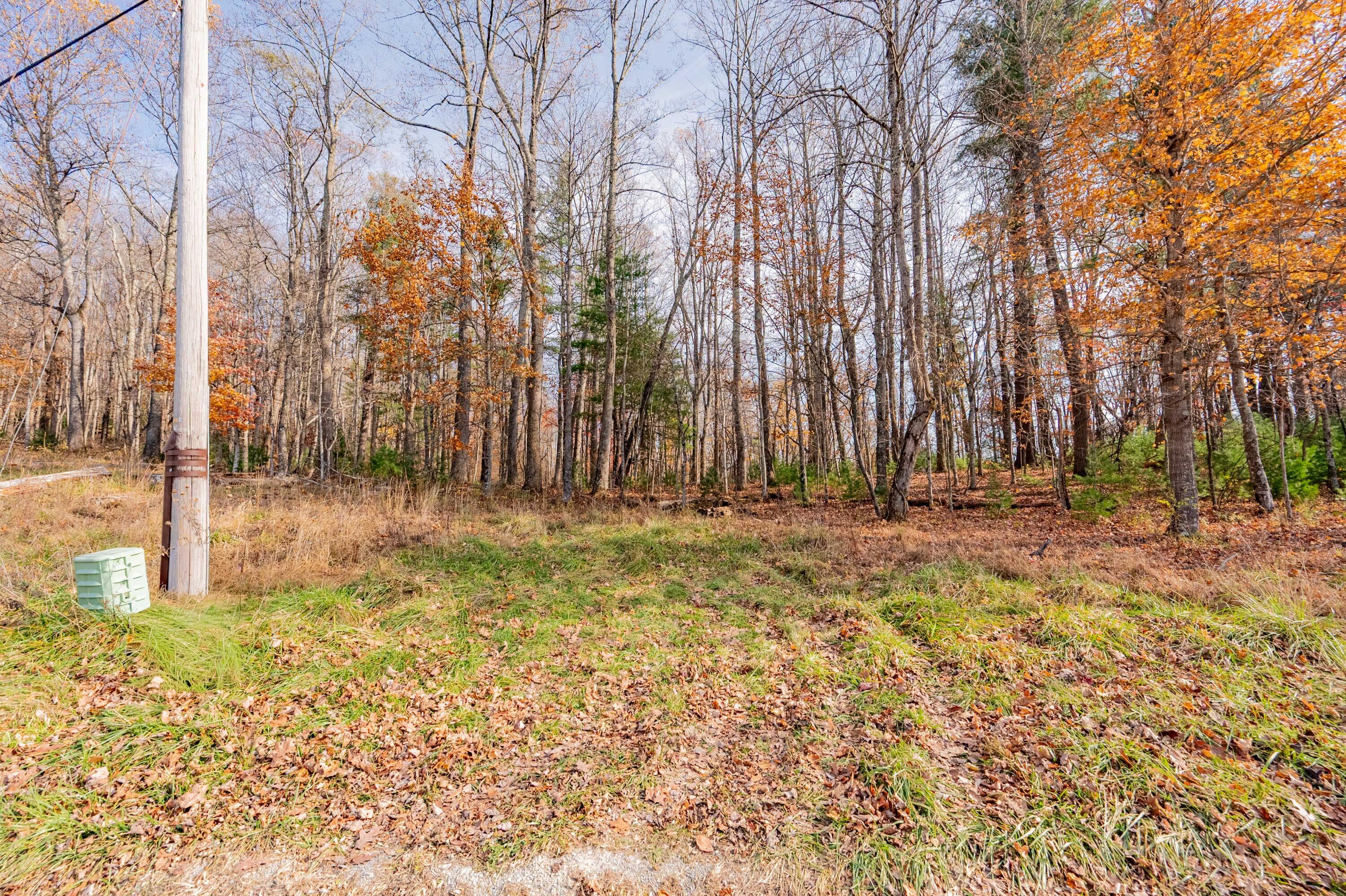 Image 3: copper hill-2