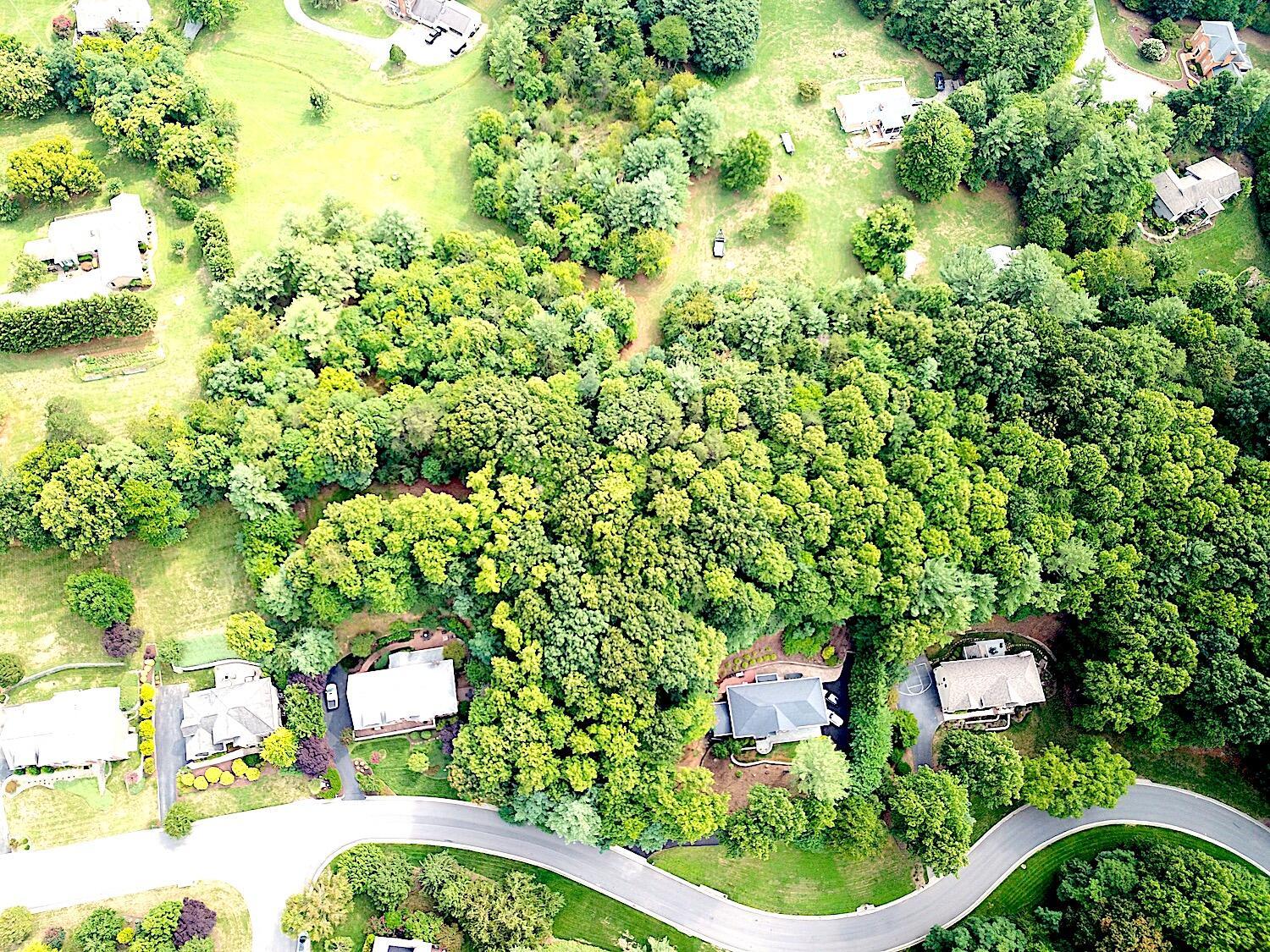 Image 3: StradfordTopAerial2