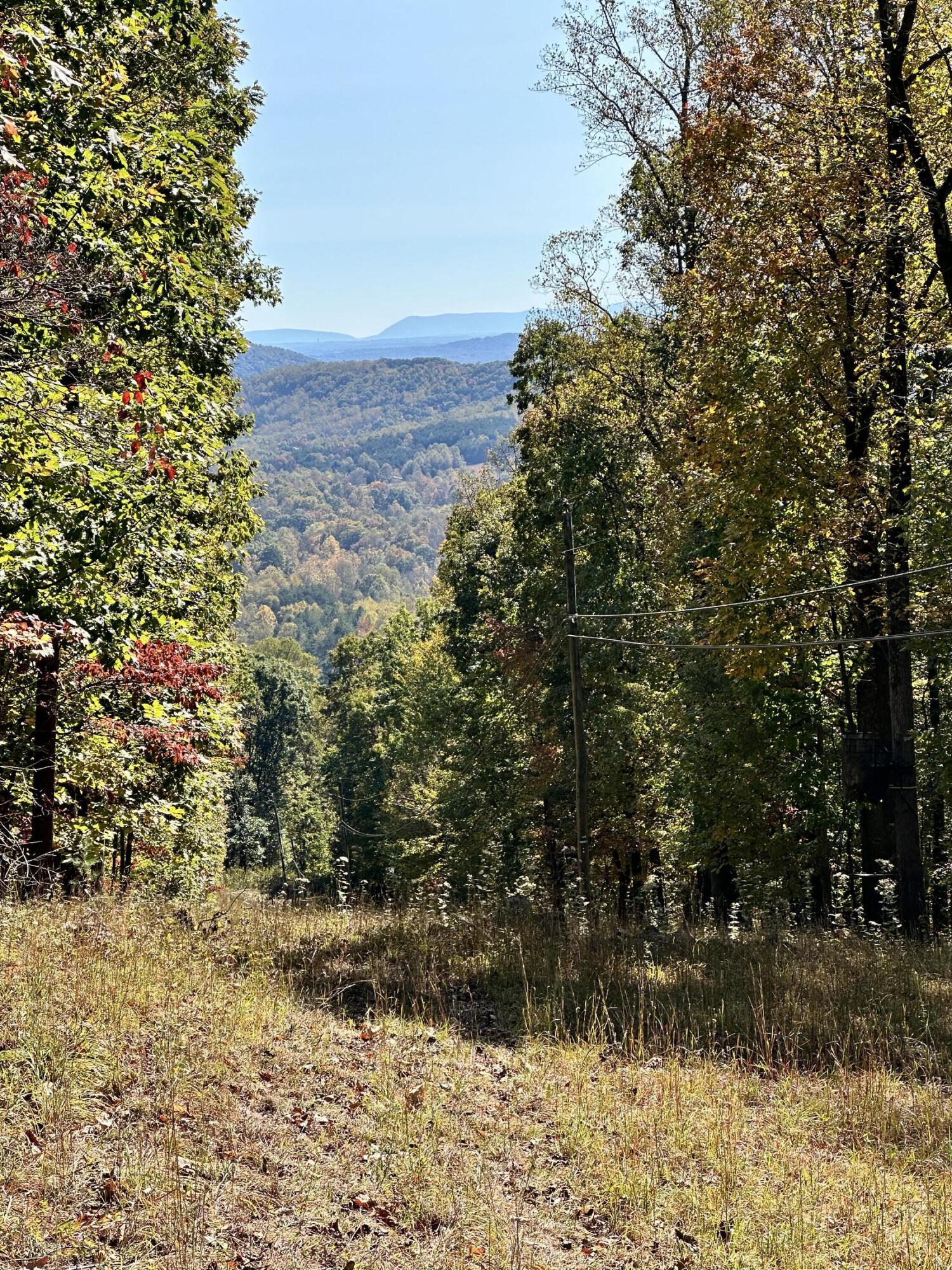 Image 4: Mark webb powerline pic