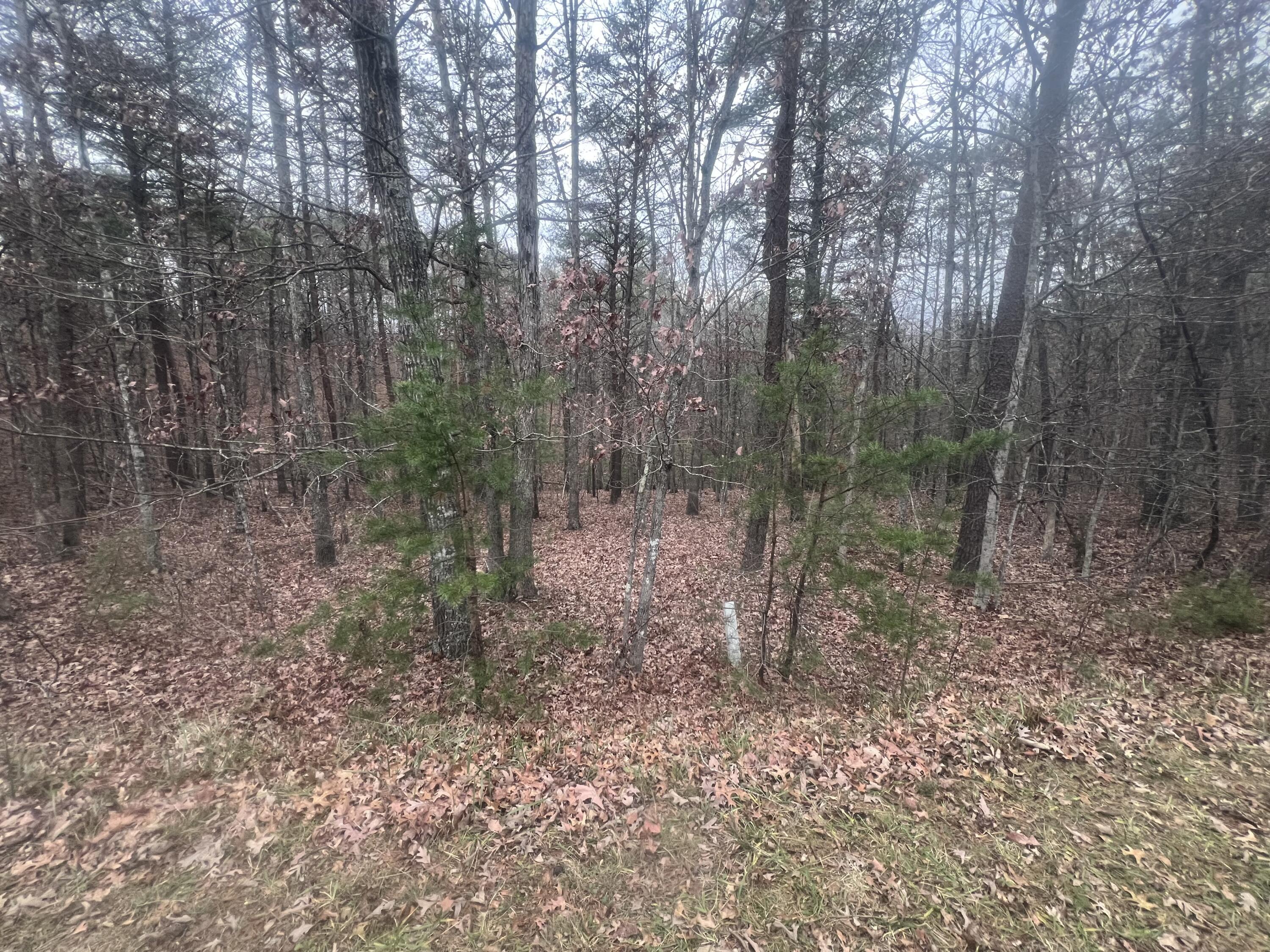 Image 1: 2851 Lindsay Dr