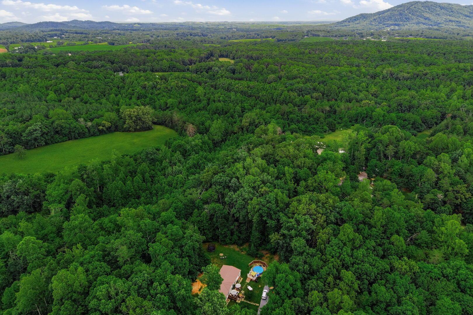 Image 3: 3-web-or-mls-307-meadow-creek-dr