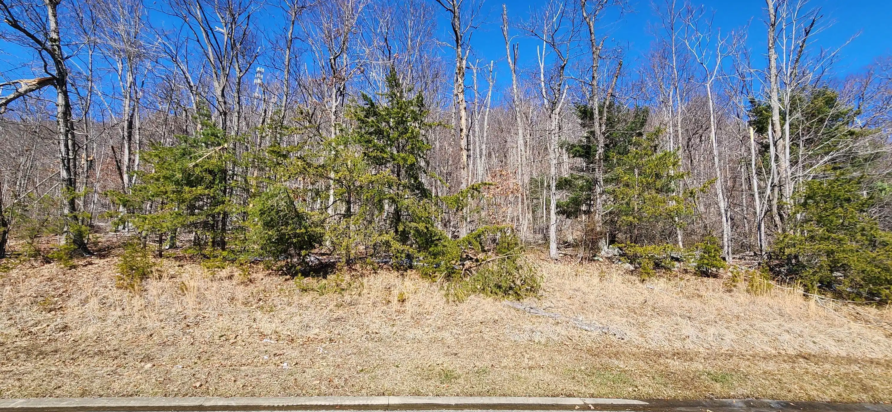 Image 1: Lot 19 Summit Dr.