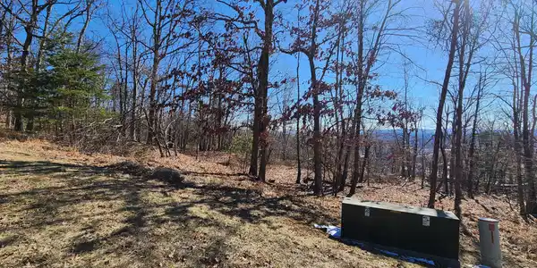 Image 2: Lot 46
