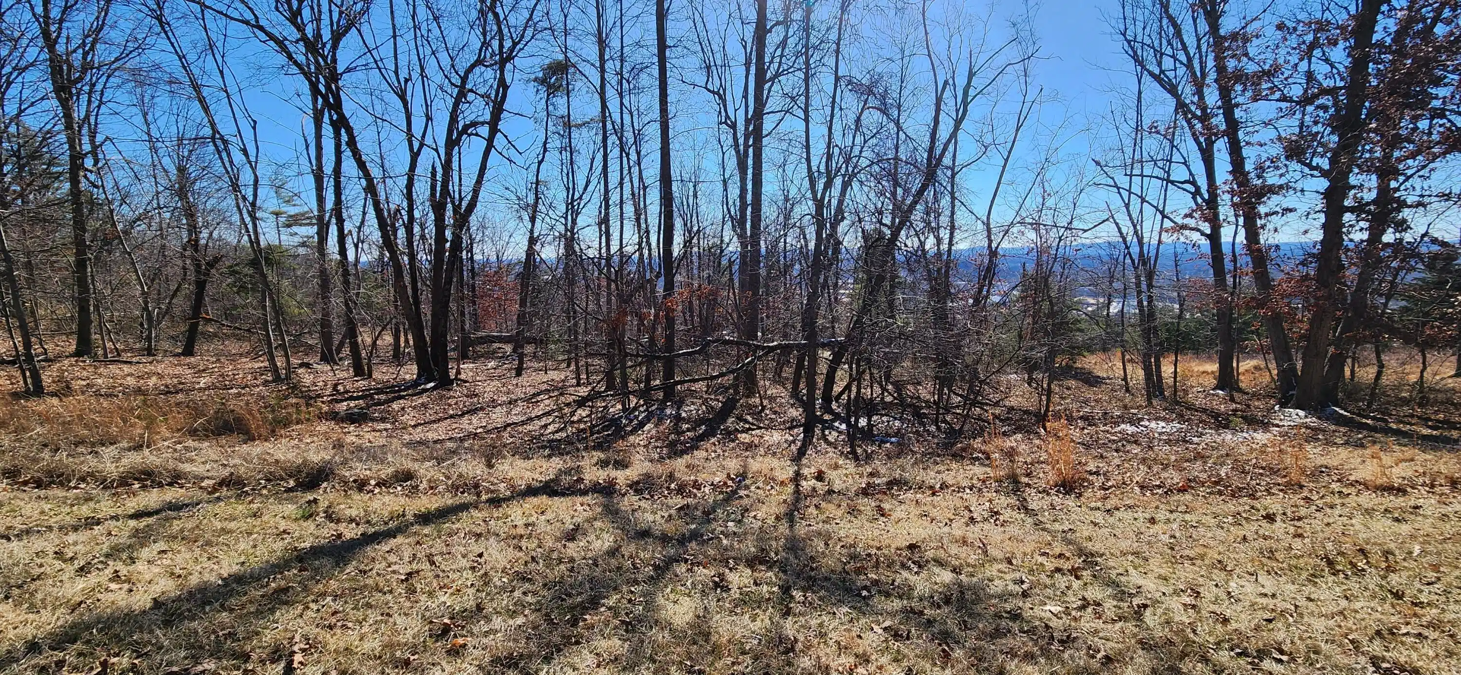 Image 1: Lot 47 Summit Dr.