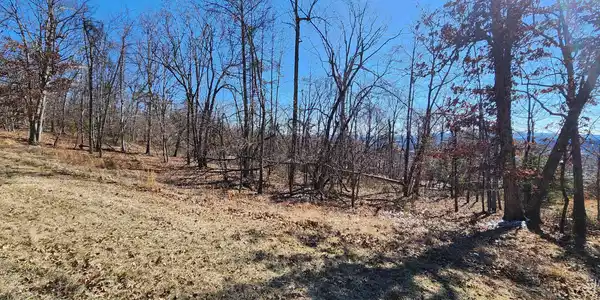 Image 2: Lot 47