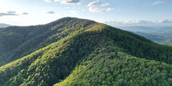 Lot #Tract B MASONS KNOB RD