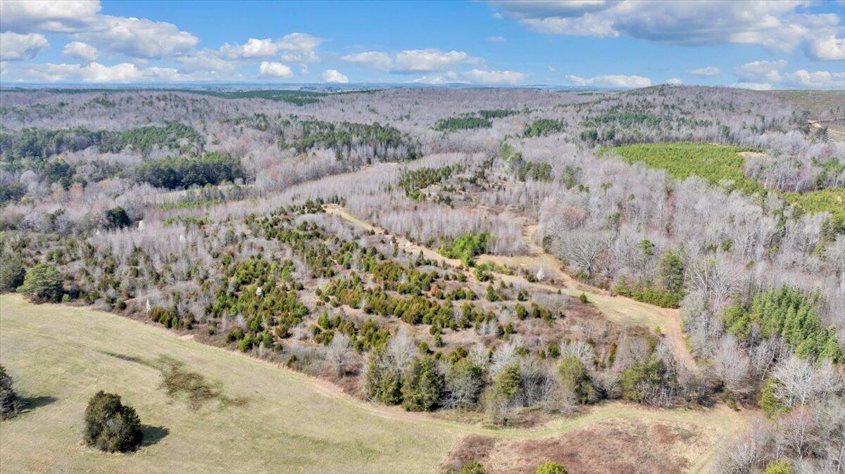Image 3: 12-DJI_20260312022955_0263_D