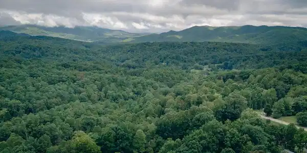 Image 4: Grissom 8