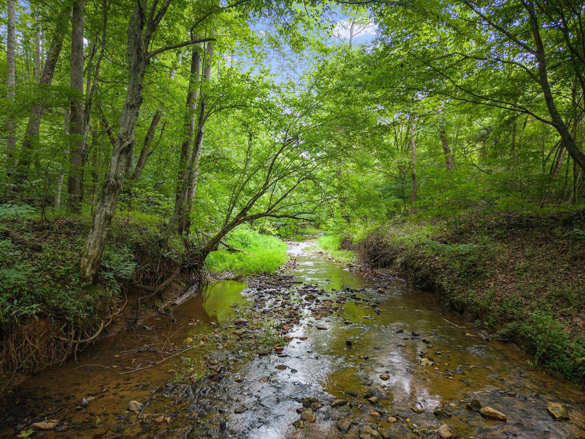 Image 3: Sunlit creek bed flows to river