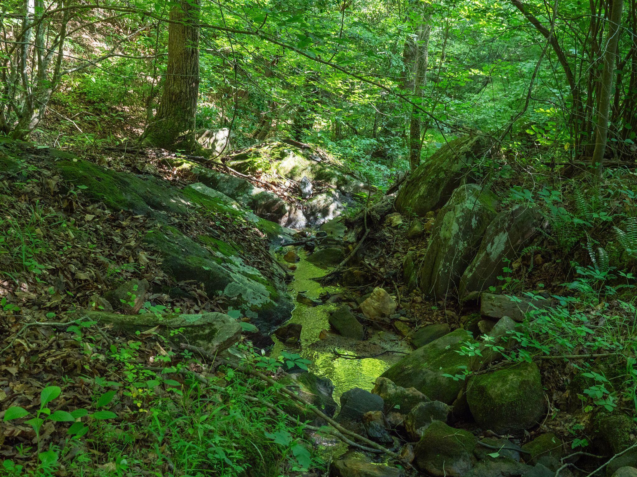 Image 4: Stream cascades through rocky terrain