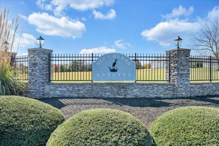 Lot 17 Blue Heron DR