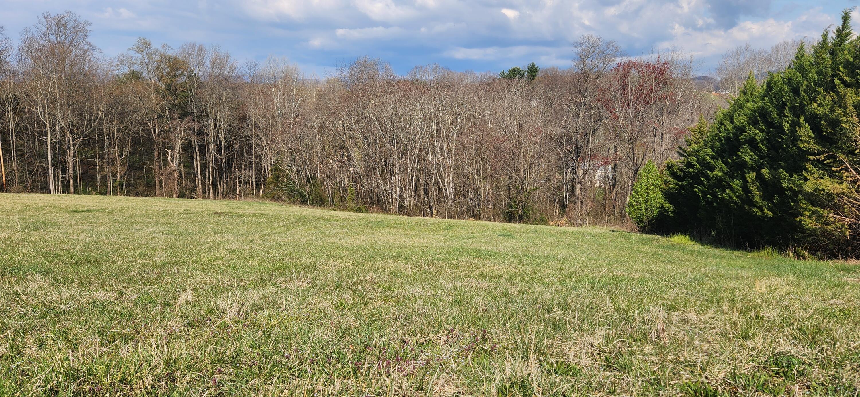 Image 2: Lot 7 (2)