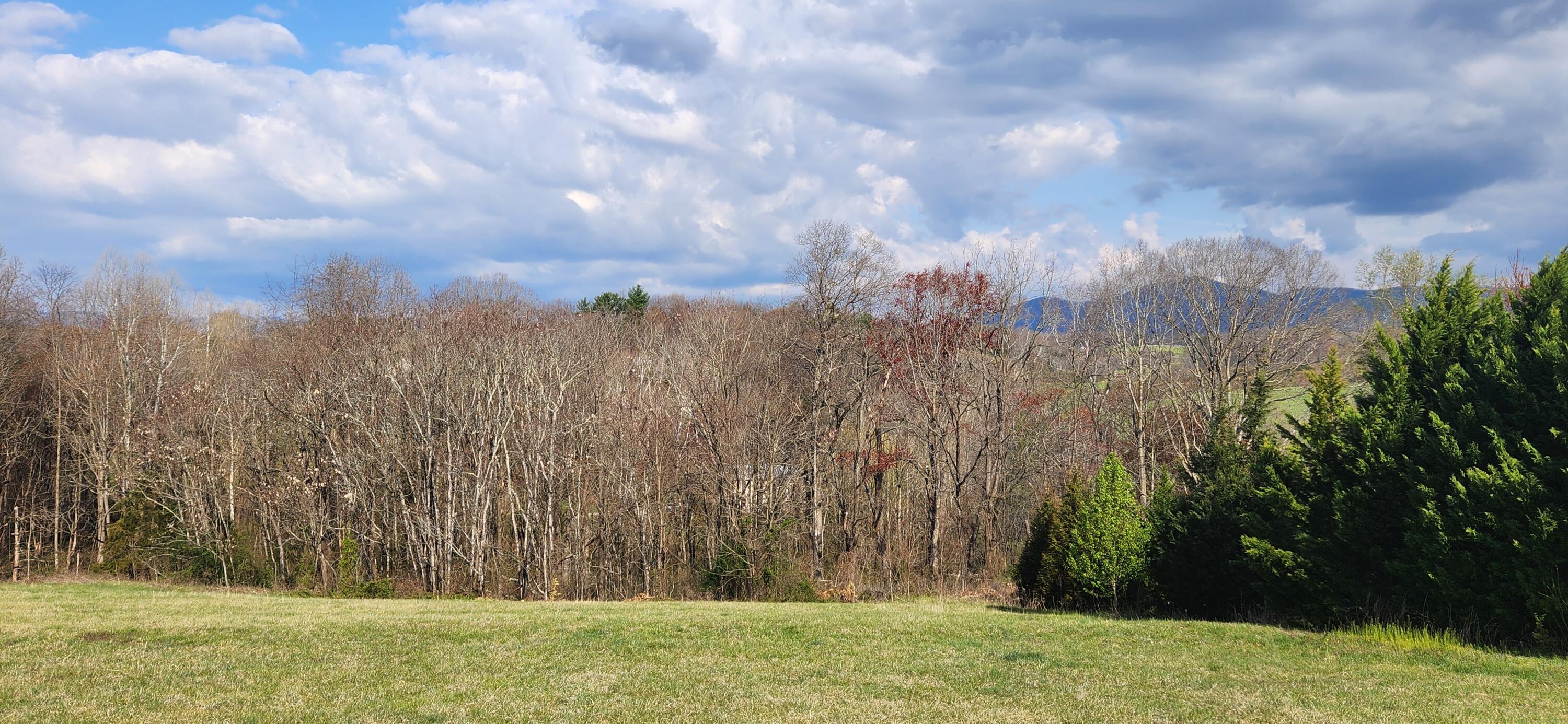 Image 3: Lot 7 (3)