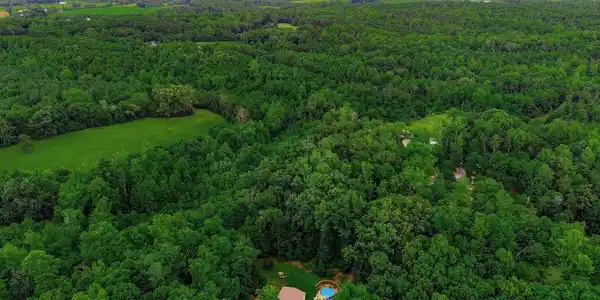 Image 3: 3-web-or-mls-307-meadow-creek-dr