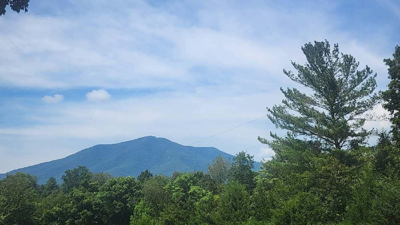 Image 4: image000002