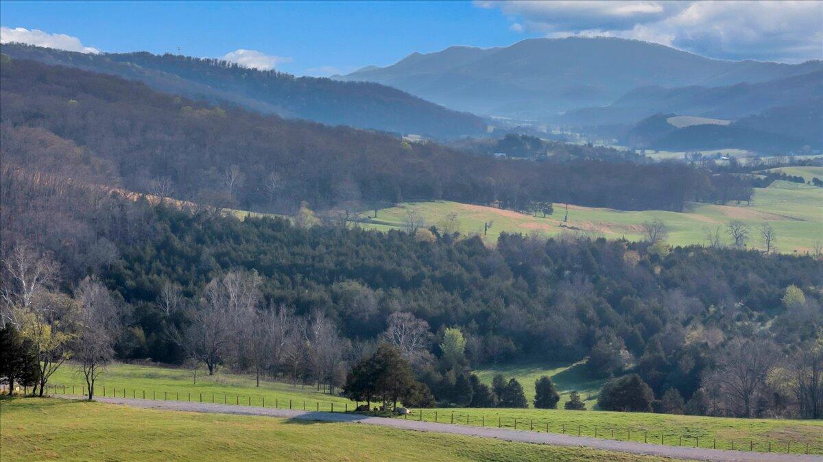 Image 1: 484 Mill Pointe Road View