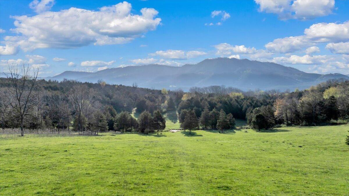 Image 2: 20-DJI_20260404073159_0321_D