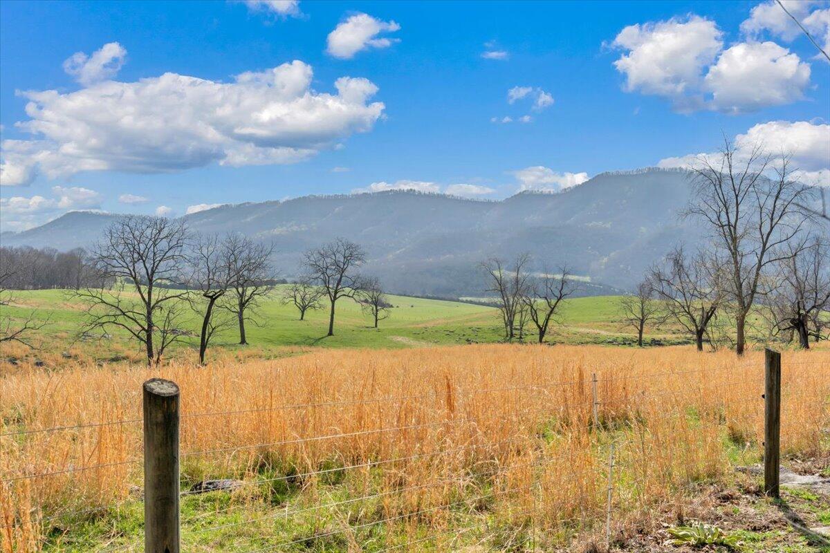 Image 3: 65-MIB09375