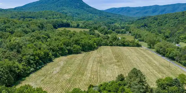 Image 2: 2 TBD Blacks Creek Rd