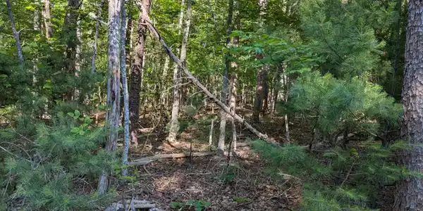Image 3: 0 Old Forge Rd