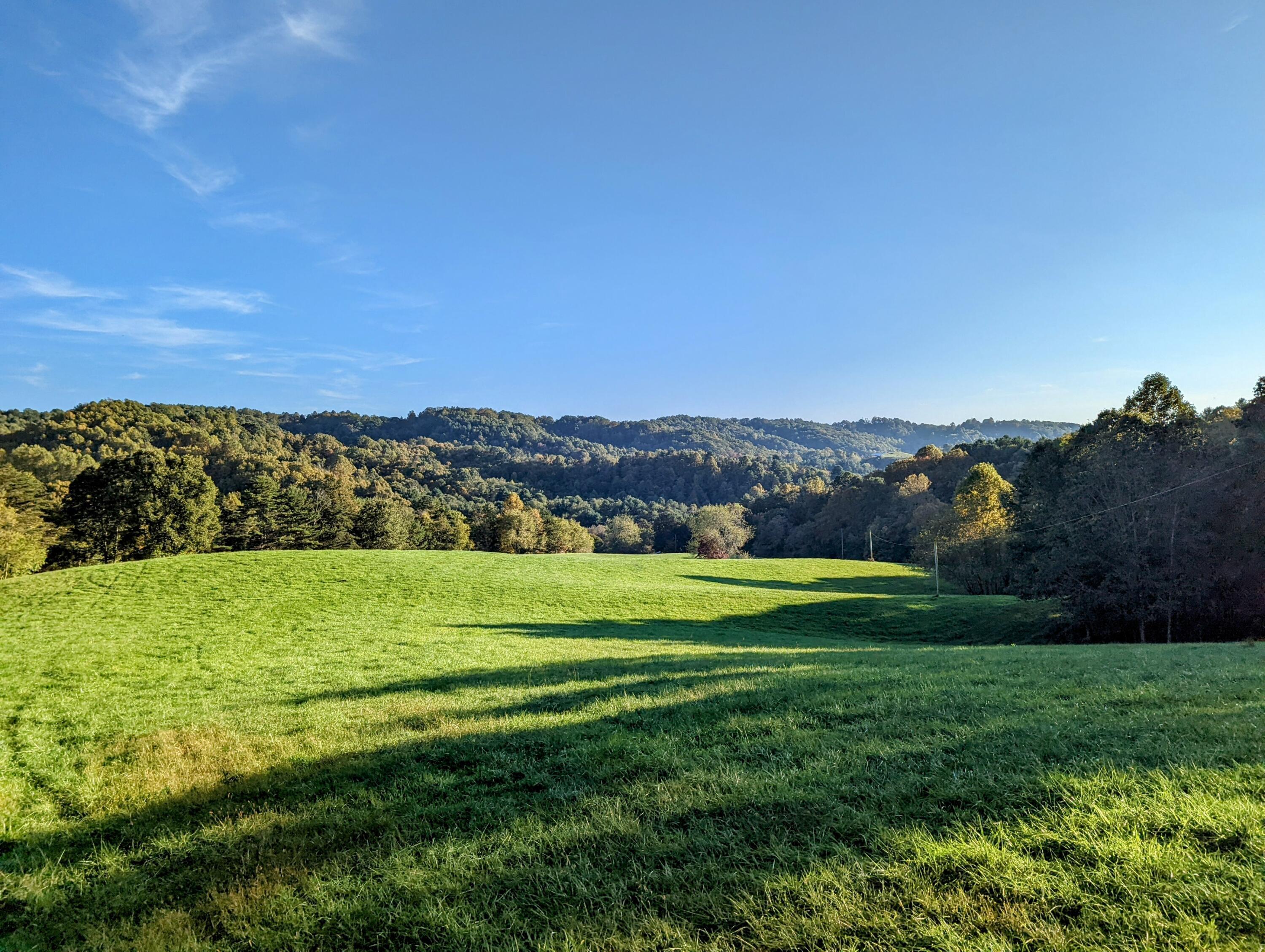 Image 1: Primary