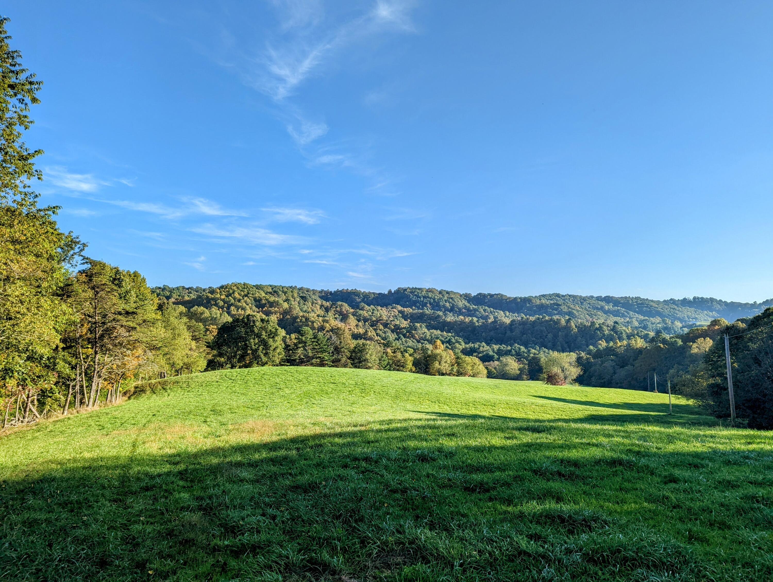 Image 2: 1 (26)