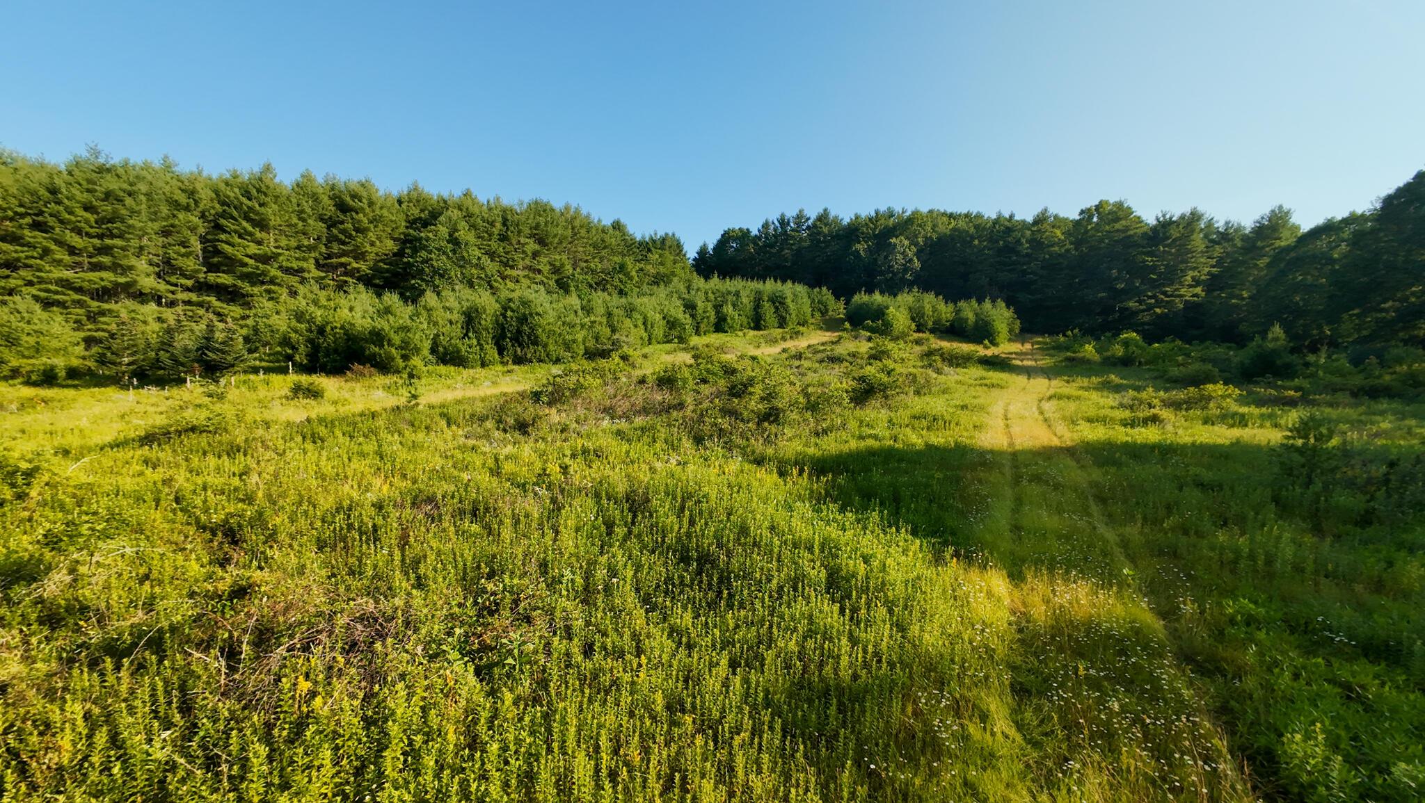 Image 2: Parcel 2-36