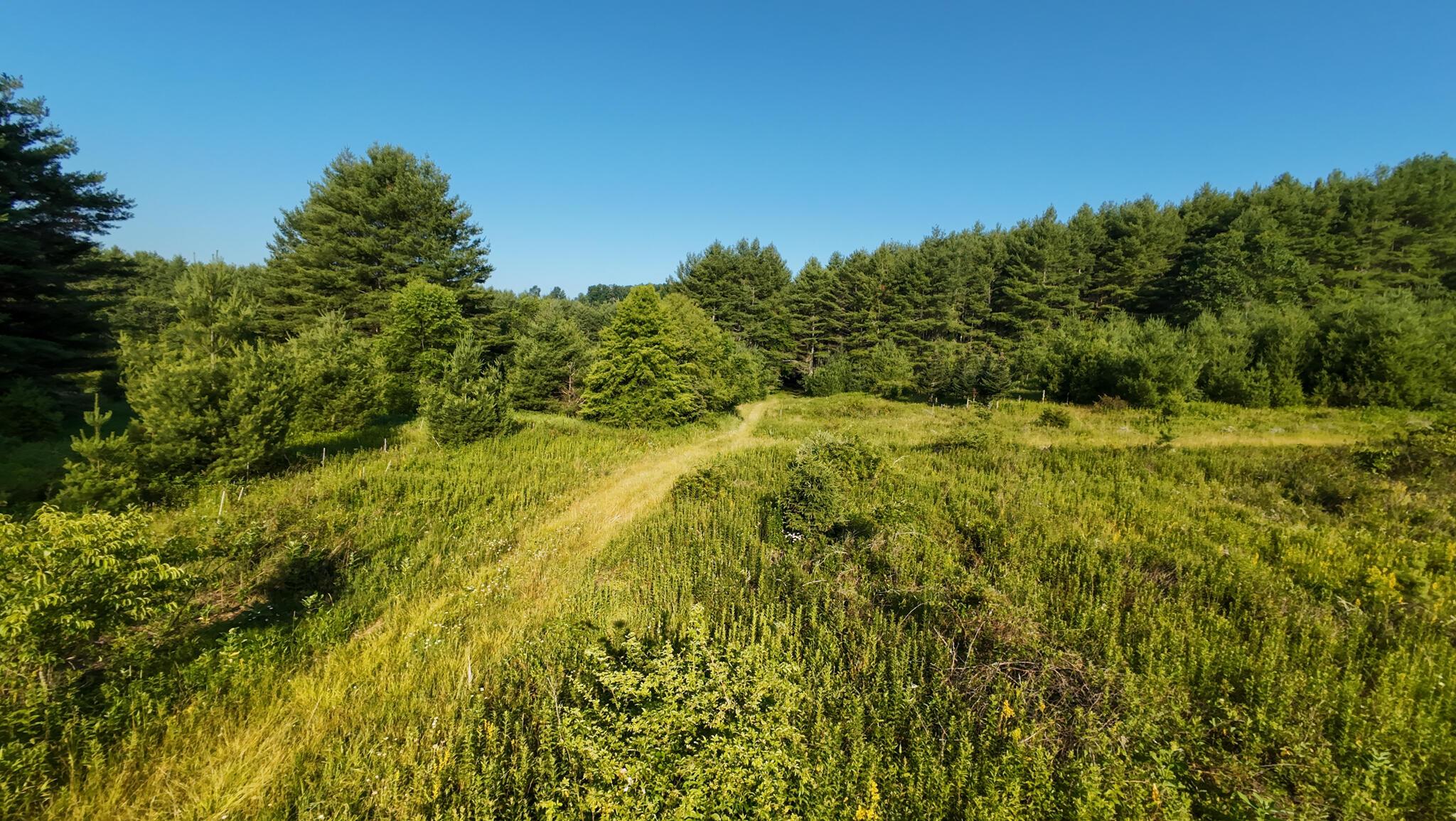 Image 3: Parcel 2-37