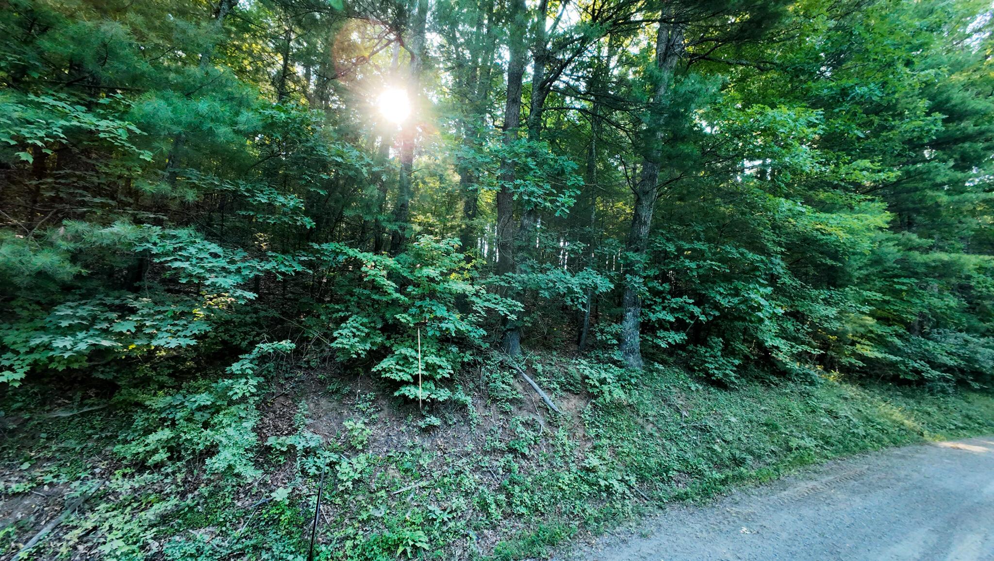 Image 4: Parcel 2-16