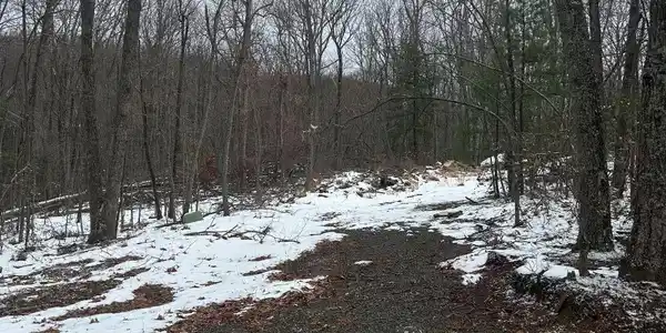 0 Timber Trail LN