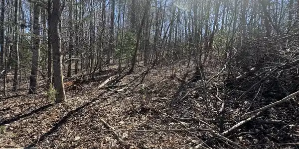 Lot 7A Navajo CIR