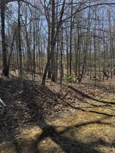 Lot 10A Navajo CIR