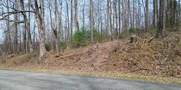 Lot #Tract B-2 MARSHALL HILL RD