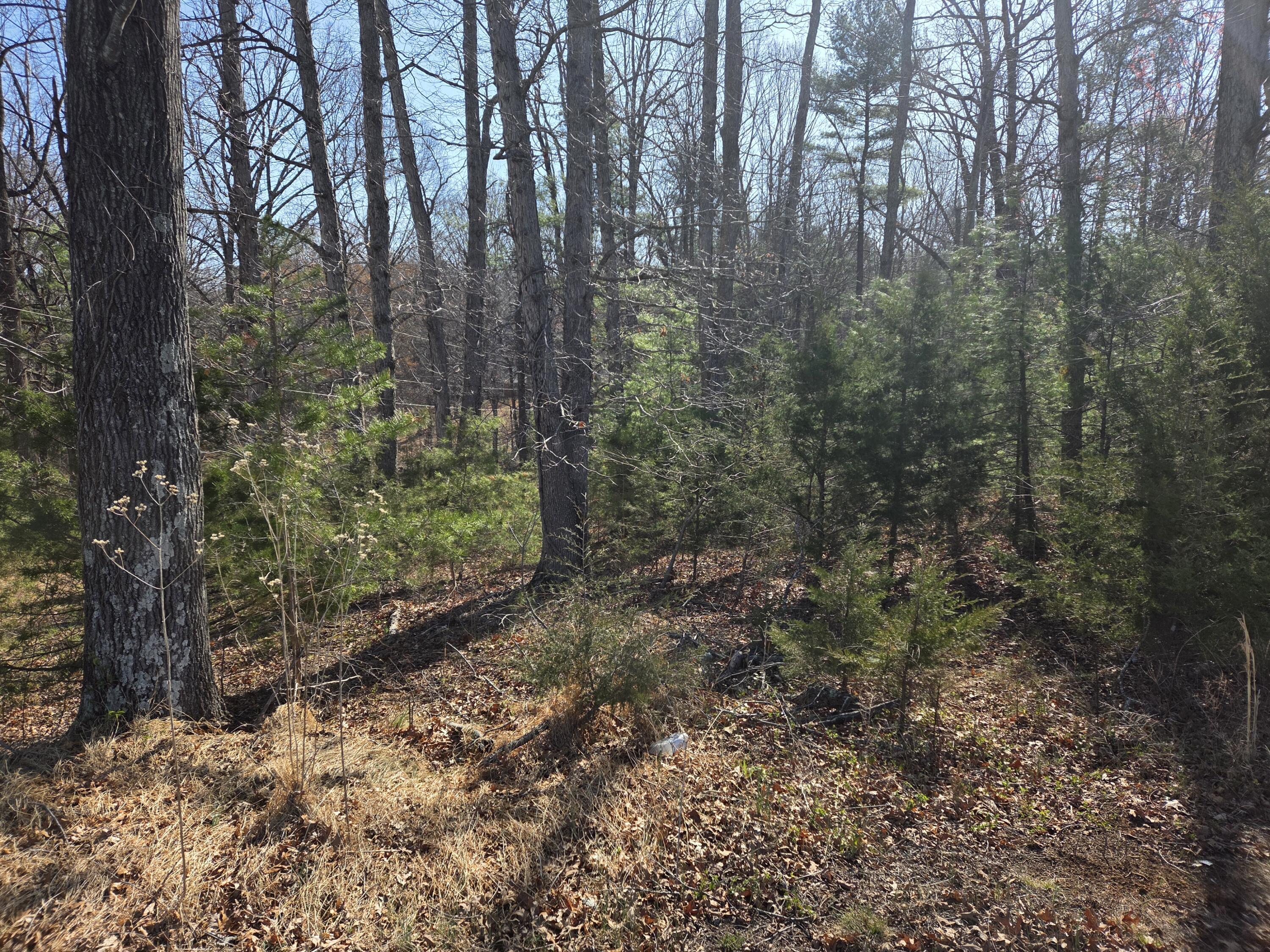 Image 2: 20260325_101618