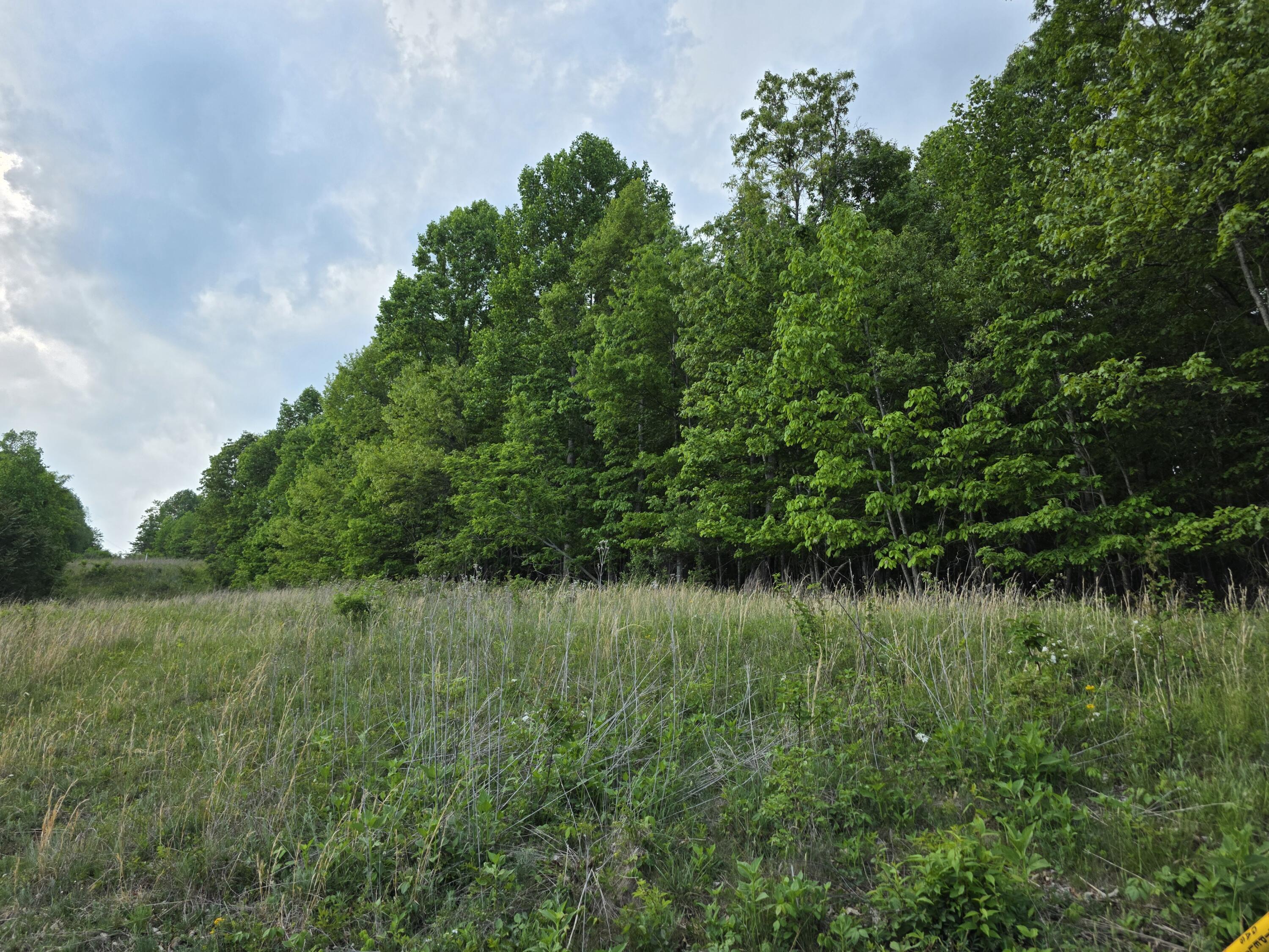 Image 2: 20260520_164758