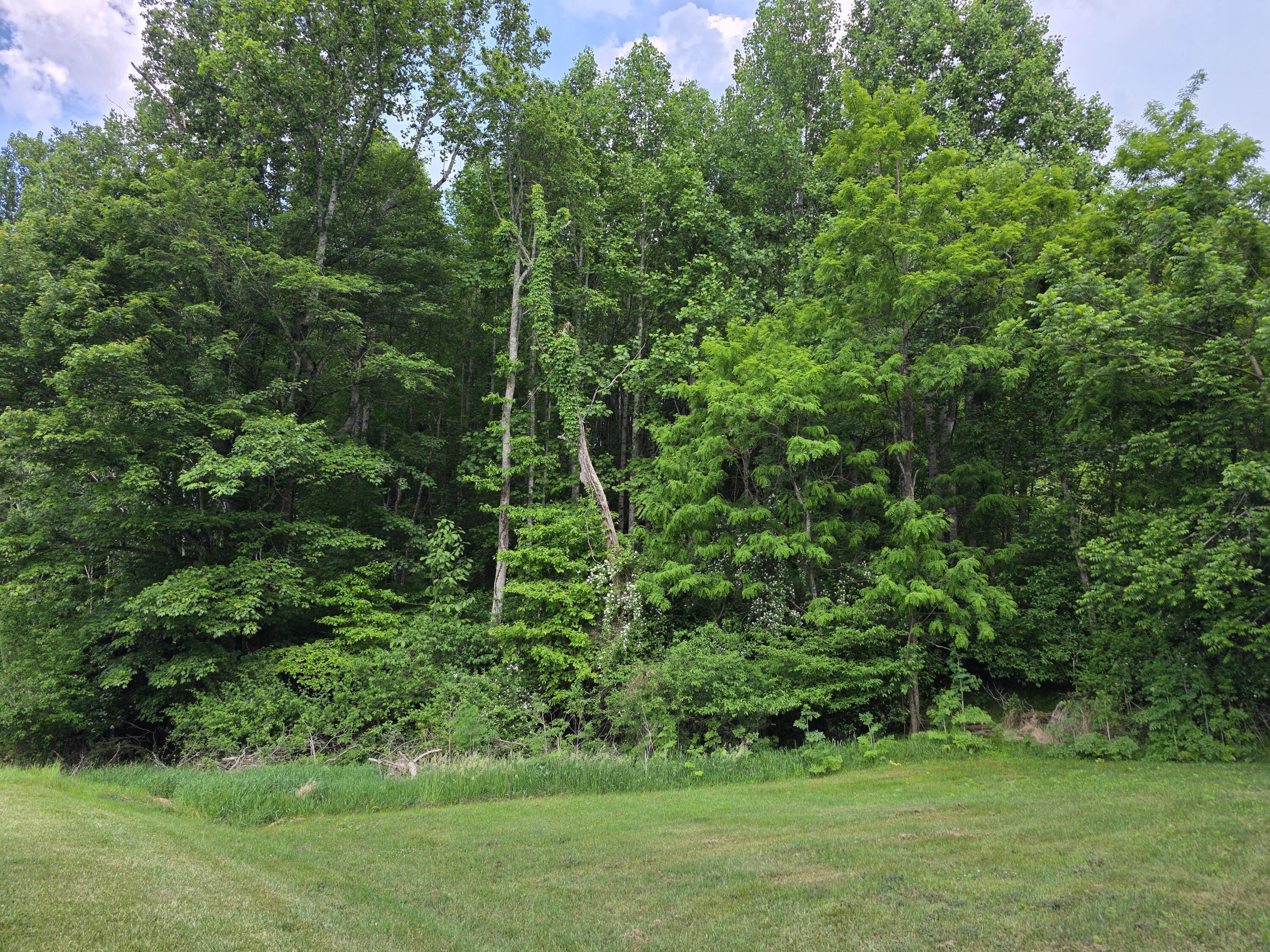 Image 3: 20260520_162030