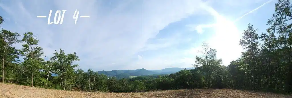 Image 1: Lot 4