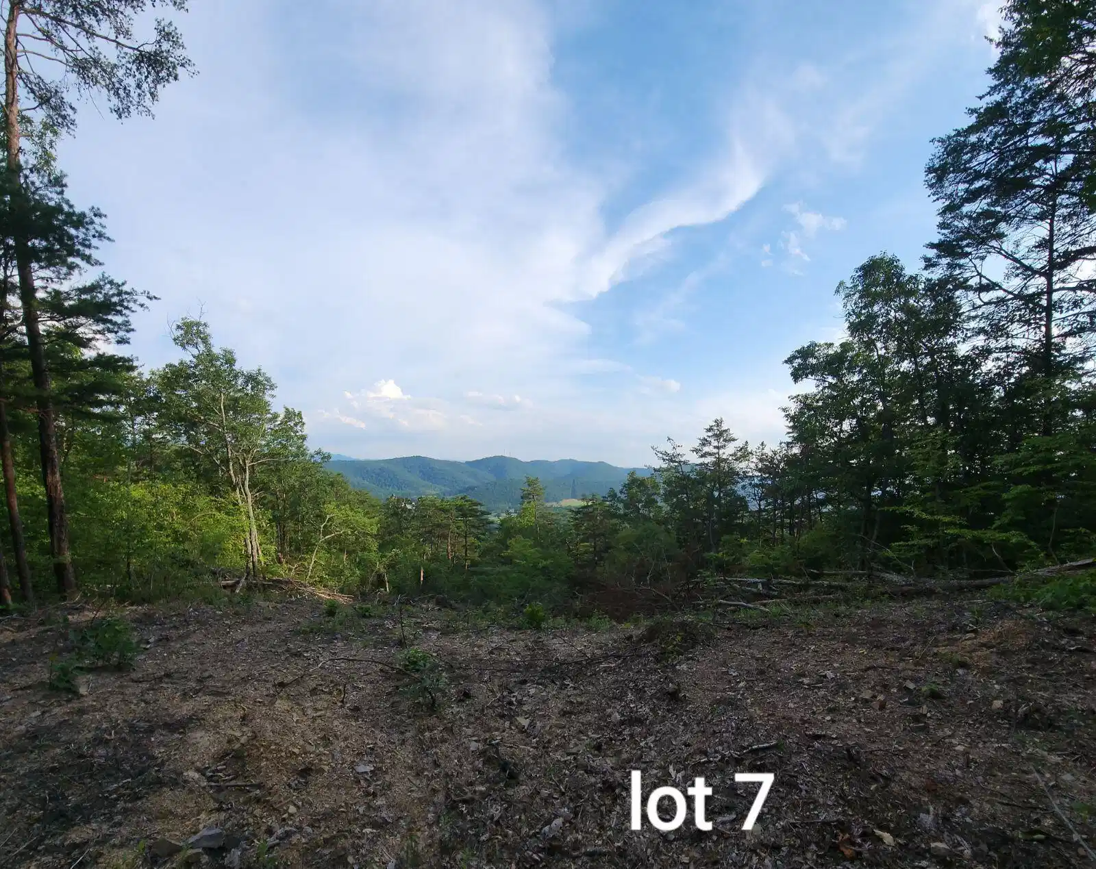 Image 1: Lot 7