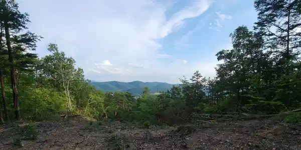 3031 Reese Mountain RD
