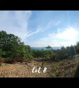 Image 1: Lot 8