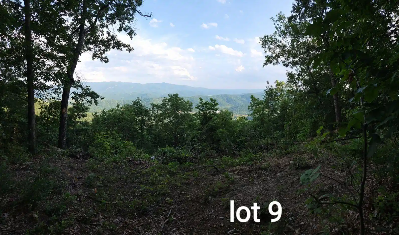 Image 1: Lot 9
