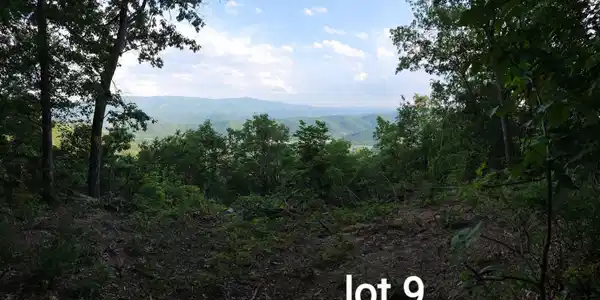 3280 Reese Mountain RD
