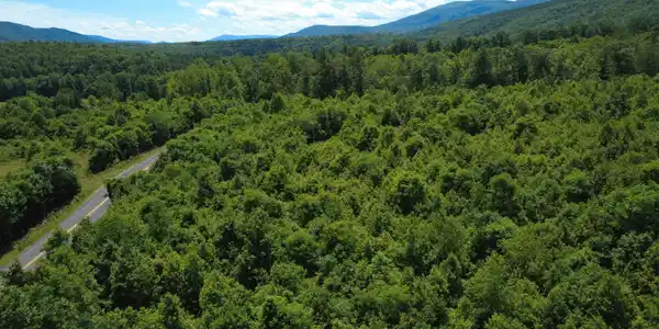 Lot #N/A Craig Creek RD