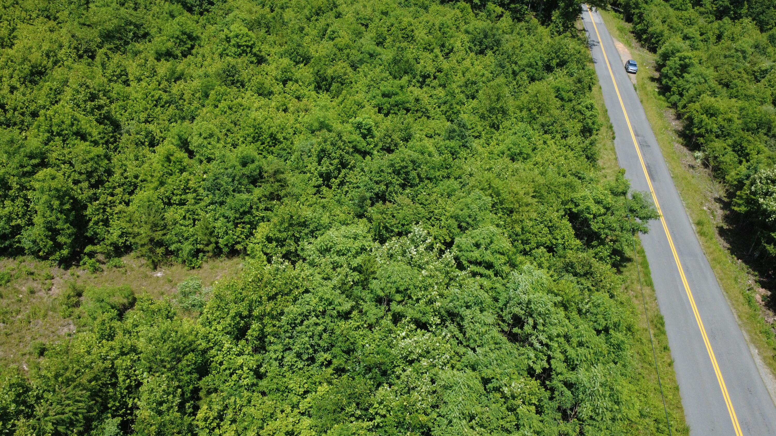 Image 2: DJI_0525