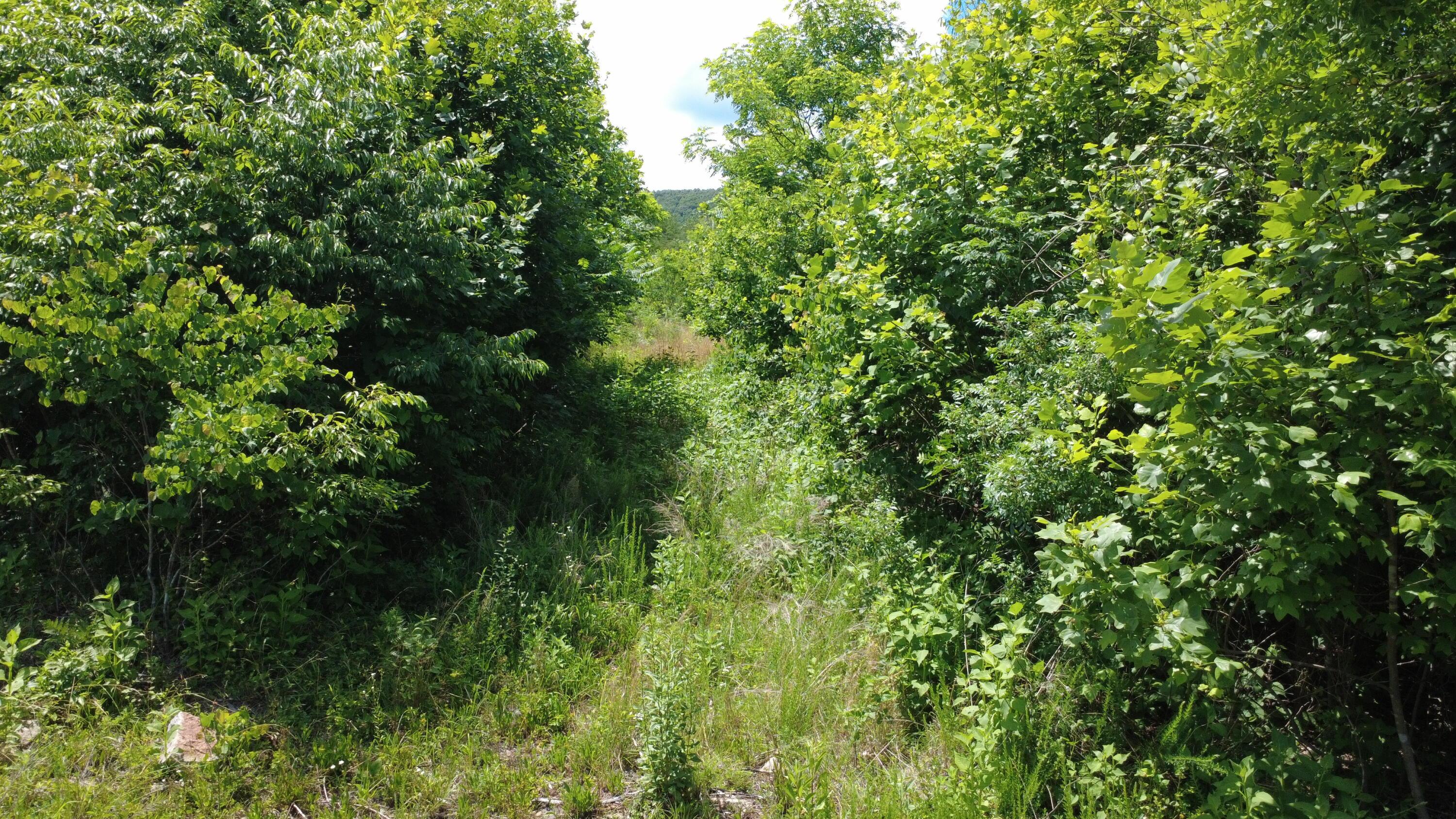 Image 3: DJI_0546