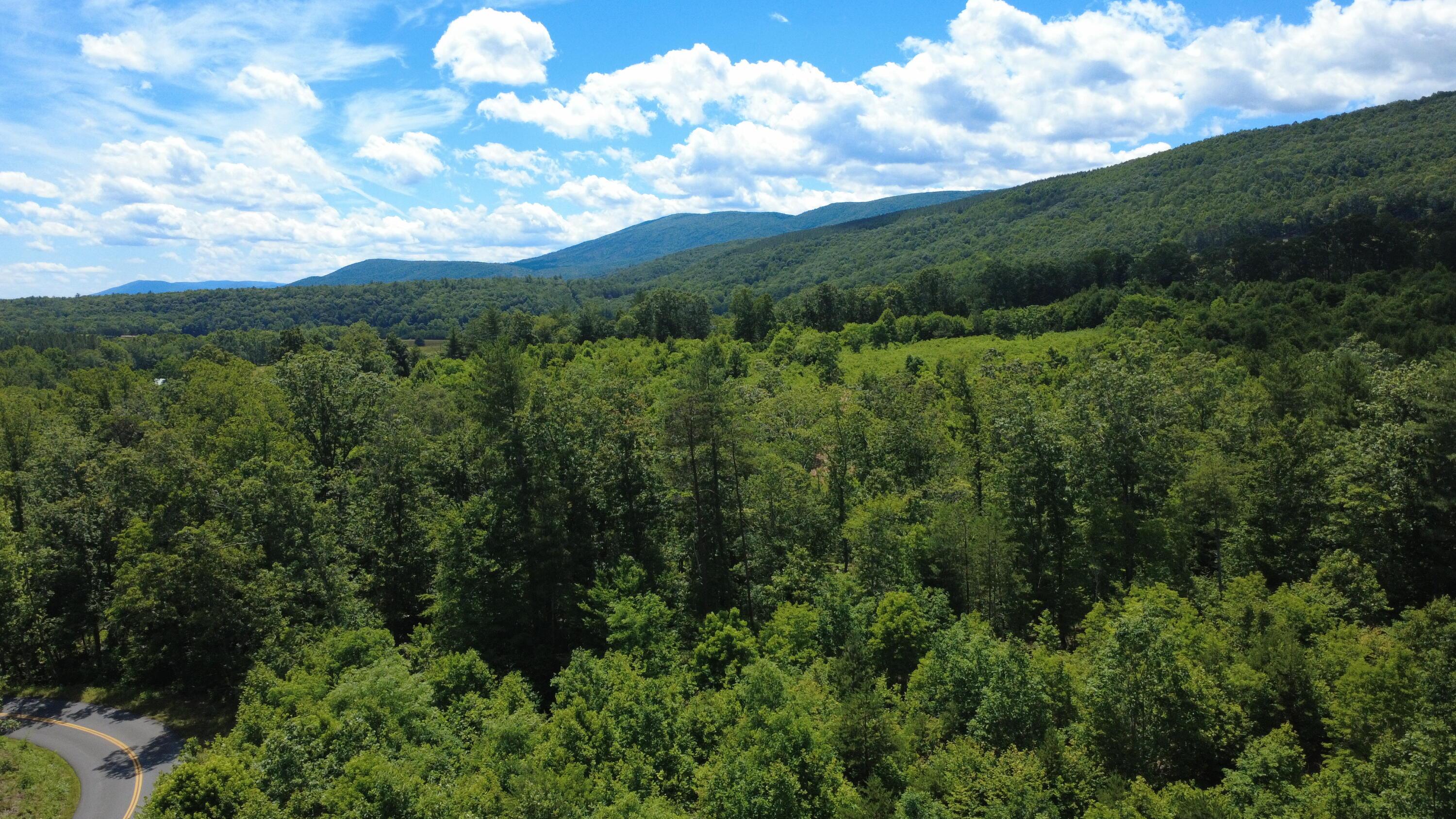 Image 4: DJI_0540