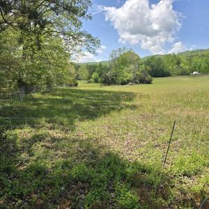 Flatwoods RD