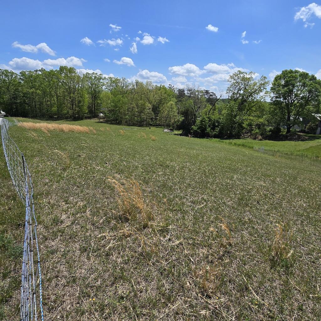 Image 3: 20250430_132355