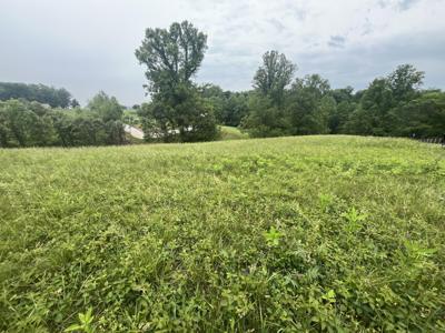 Lot #9 Cahas Summit RD