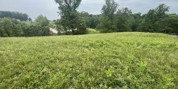 Lot #9 Cahas Summit RD